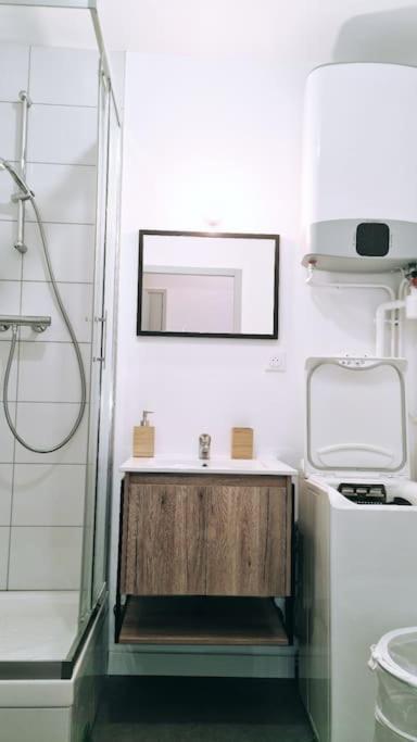 Le Cosy Central Moderne Et Chaleureux Сент-Этьен Экстерьер фото