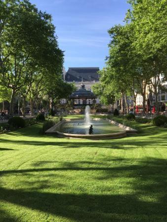 Le Cosy Central Moderne Et Chaleureux Сент-Этьен Экстерьер фото